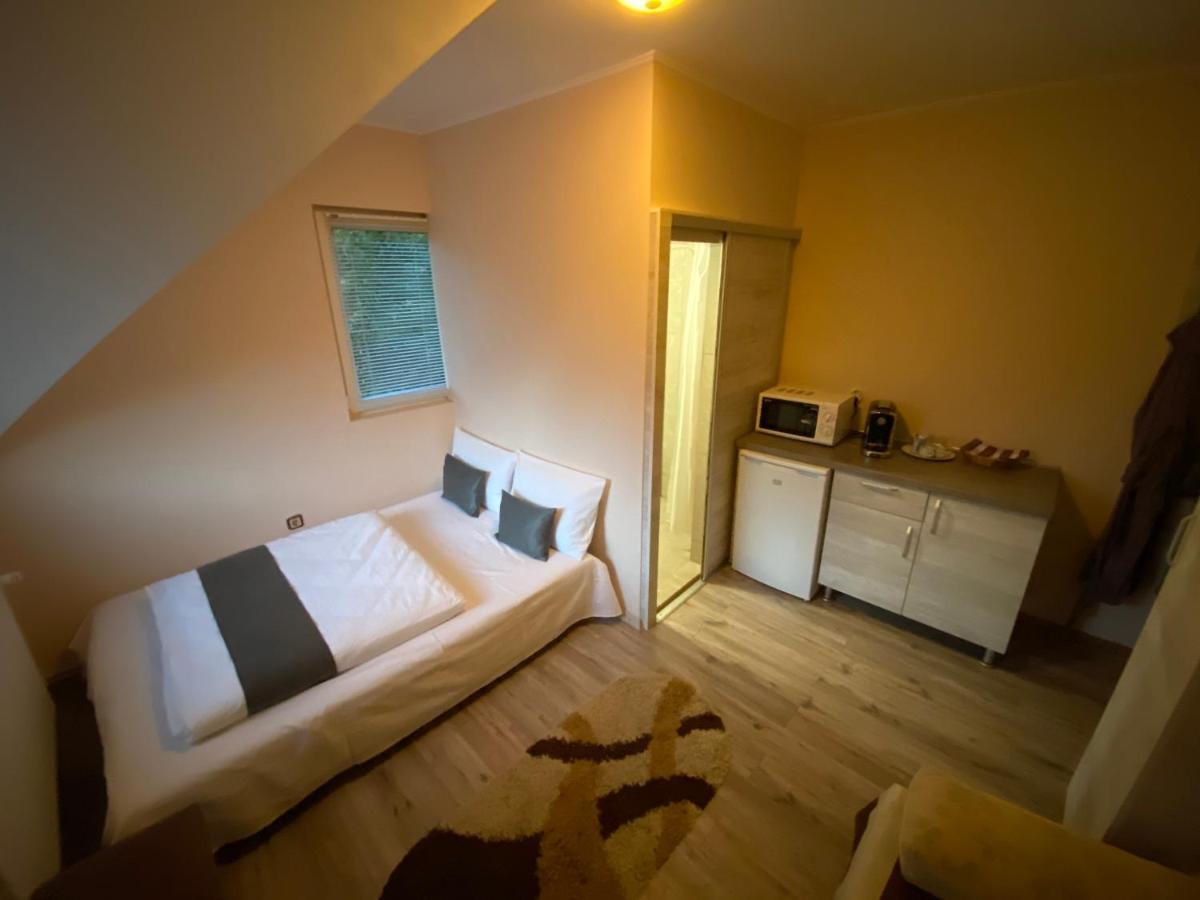 Vila Eszter Otel Sovata Dış mekan fotoğraf